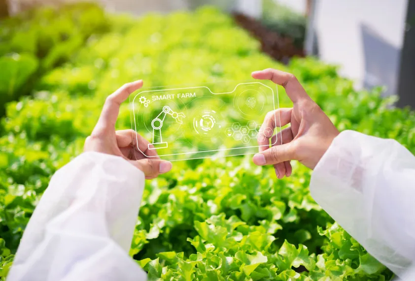 Agri Food Forum 26
